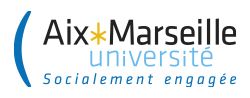 Aix  Marseille Université 