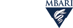 MATLAB & Simulink Logo