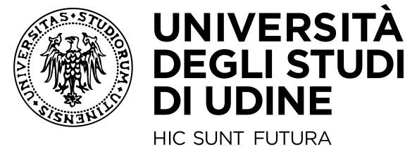 universita-degli-studi-di-udine 