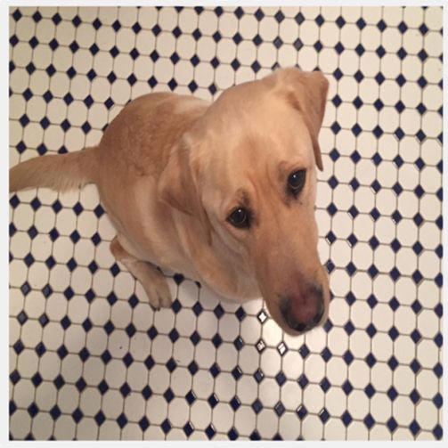 图像大小：1000×1000 像素