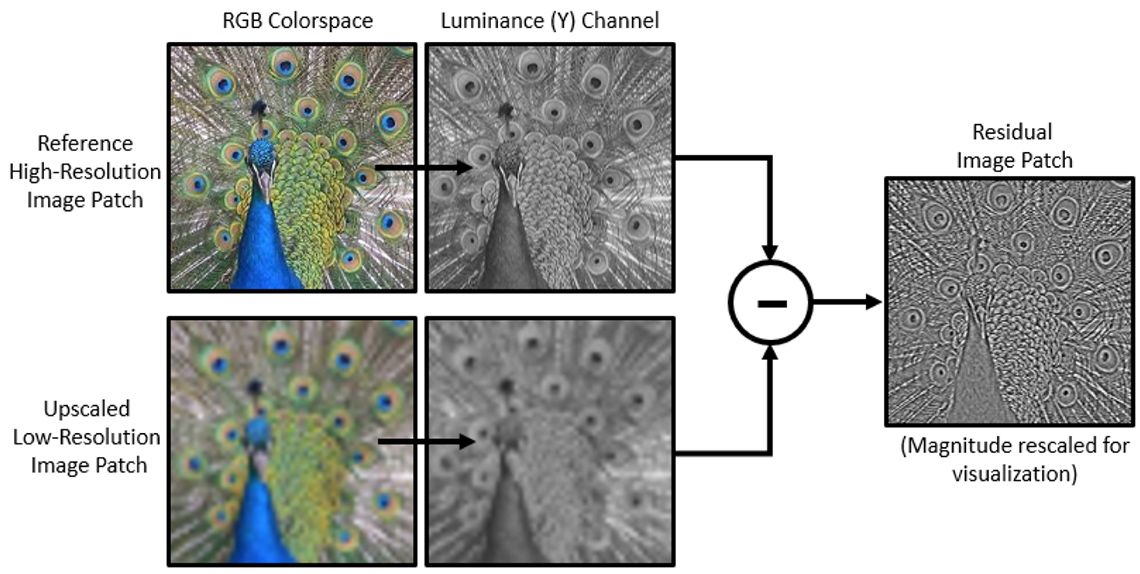 A peacock is shown in color and black and white as an example of image enhancement using different image channels that can be combined to create a clearer image.