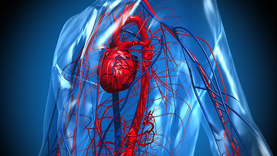 MathWorks MedTech Virtual Forum