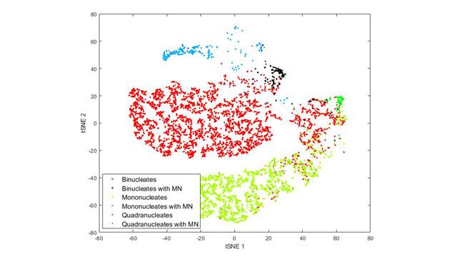 Automating Genotoxicity Assays with Imaging Flow Cytometry and Deep Learning