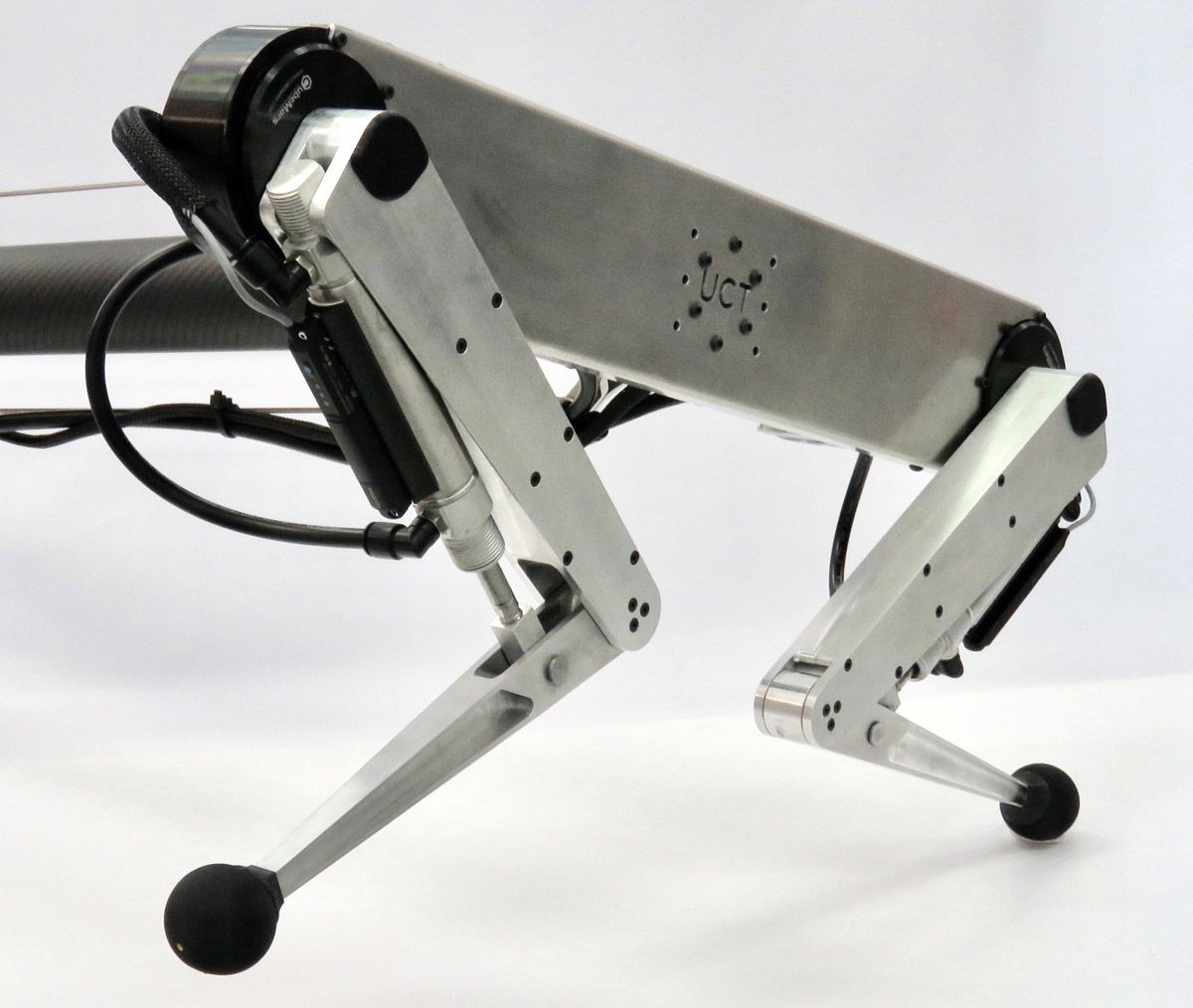 The Kemba robot with pneumatic actuators at the knees and electric motors at the hips.