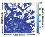 dct_fig3_w.gif