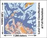 dct_fig4_w.gif