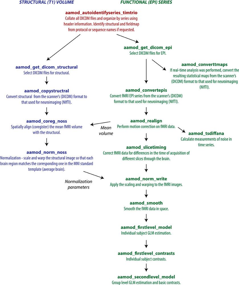 Figure 2. An example subset of an AA pipeline for functional MRI analysis (Image courtesy of Cusack et al, 2015).