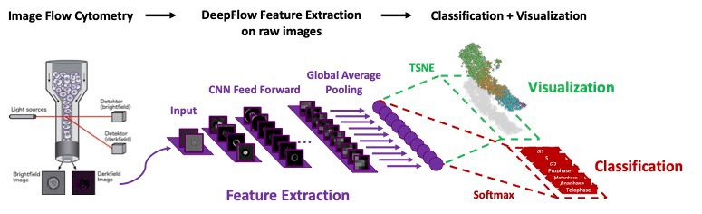 Figure 5. CNN for classifying and visualizing IFC data. [1] 