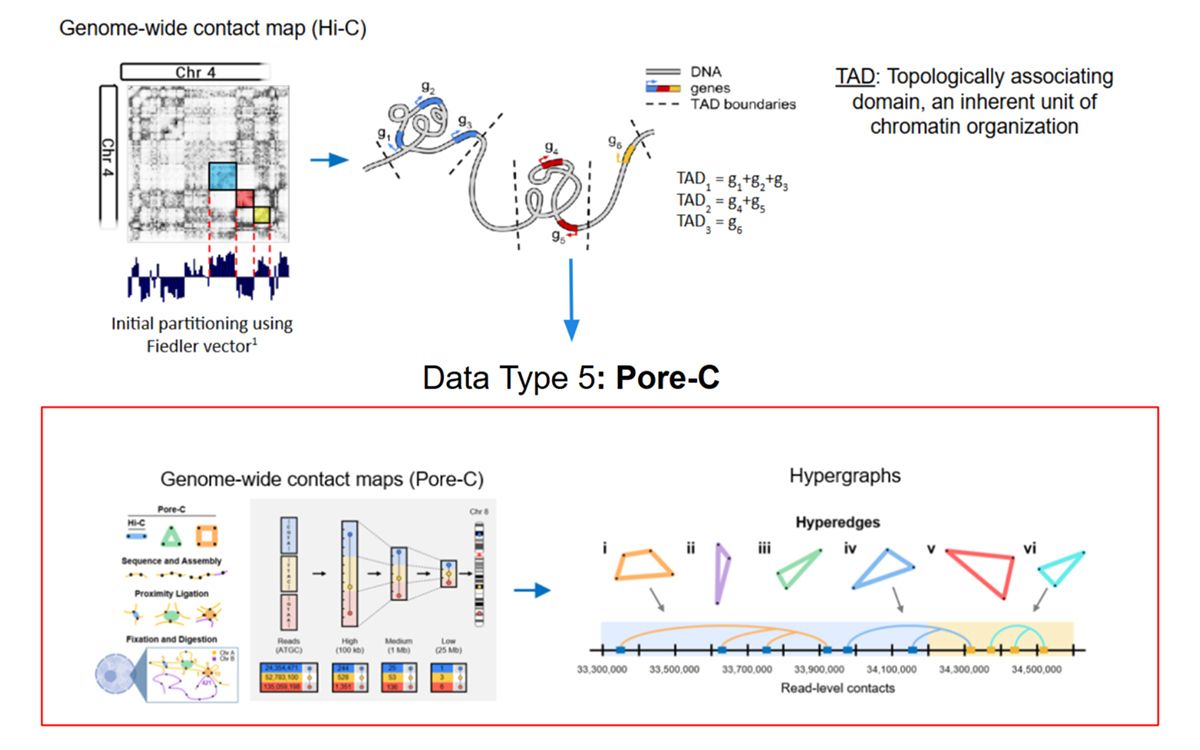 Visual comparison of chromatin contact maps using Hi-C and Pore-C. The Hi-C panel shows a heatmap of pairwise interactions and TAD boundaries on Chromosome 4. The Pore-C panel depicts a sequencing workflow and hypergraph-based multi-way contacts across a genomic region. 