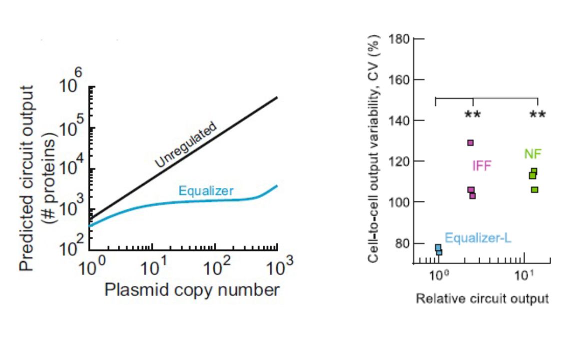 Graphs showing results of experiments of Equalizer performance in terms of circuit output and cell-to-cell variability.