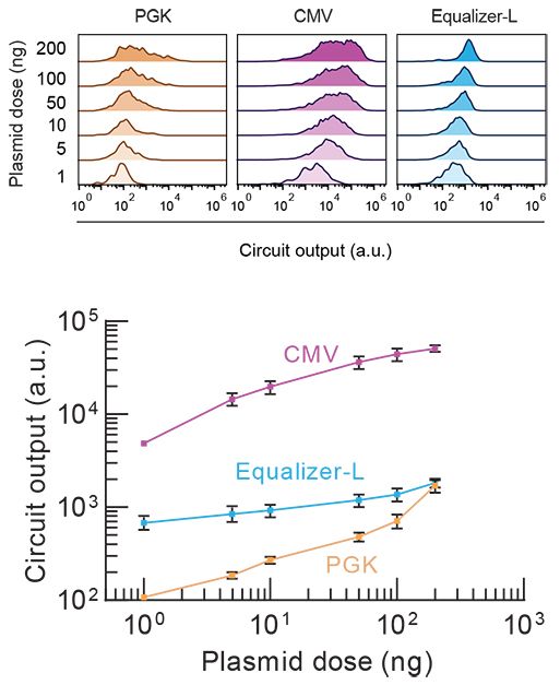 Graphs comparing Equalizer circuit performance to the performance of cytomegalovirus and phosphoglycerate kinase.