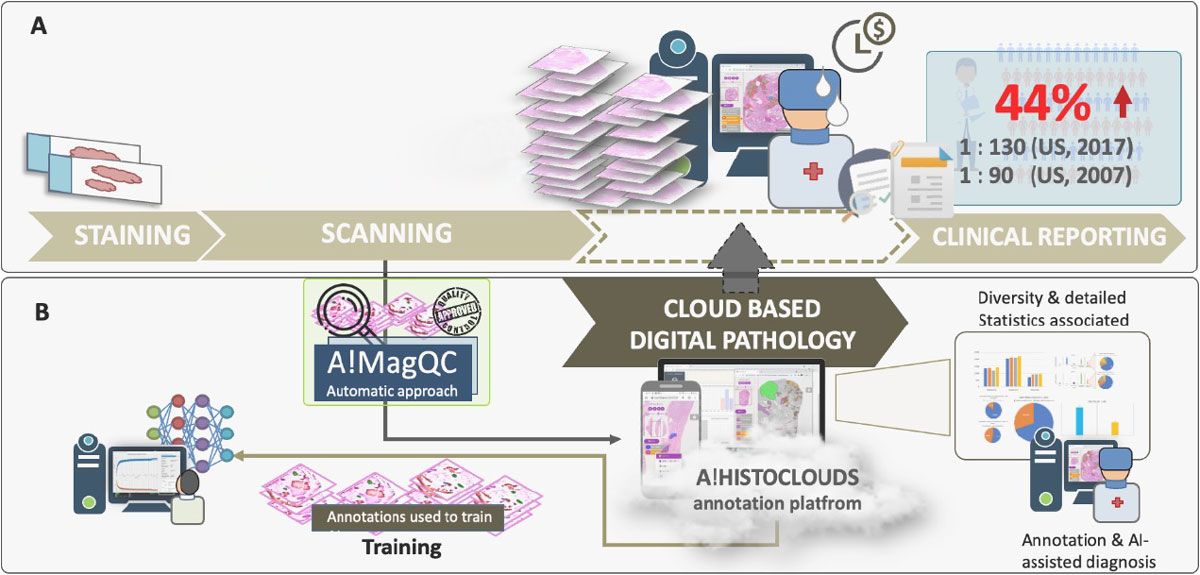 A workflow diagram of the digital pathology image platform, including A!MagQC, a fully automated image quality assessment tool.