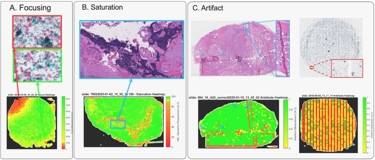 A screenshot of A!MagQC showing several types of image quality problems in a sample as seen through a microscope.