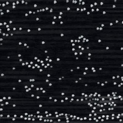 watershed_fig2_w.gif watershed_fig2_w.gif