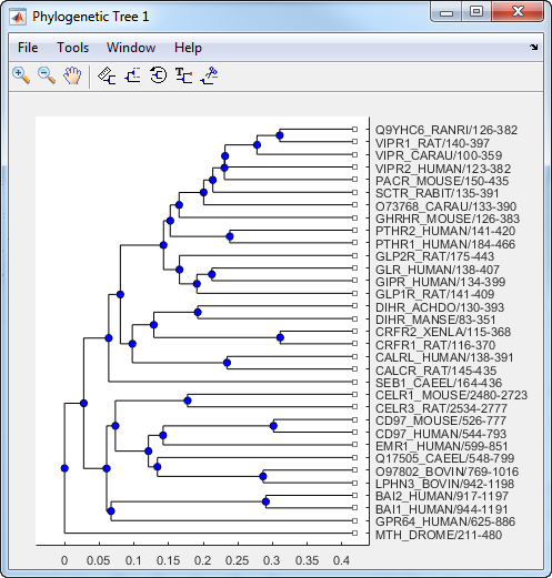 Phylogenetic Tree app