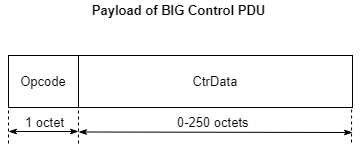 Packet structure of payload of BIG control PDU