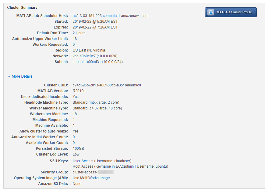 Cluster Summary on the Cluster Details page showing the Security Group associated with your cluster under More Details.