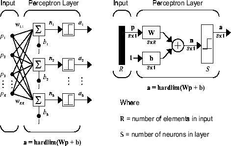Network diagram of a perceptron network.
