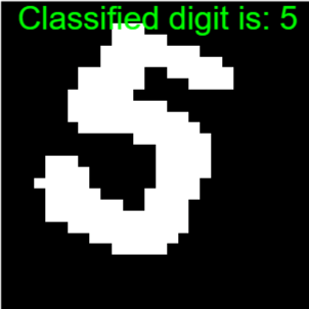 classifiedImage.png