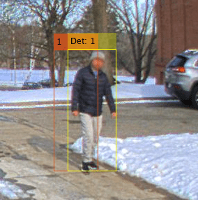 Multi-Object Tracking with DeepSORT