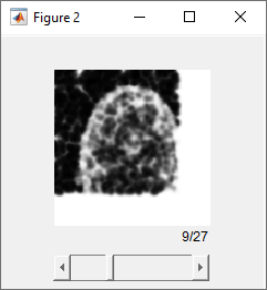 Slice of highest resolution quality map displayed in Slice Viewer.