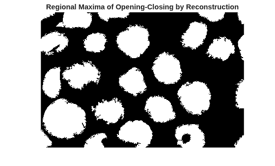Figure contains an axes object. The hidden axes object with title Regional Maxima of Opening-Closing by Reconstruction contains an object of type image.