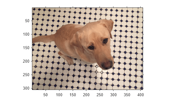 Figure contains an axes object. The axes object contains an object of type image.