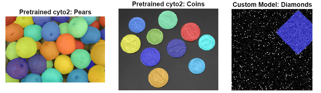 Comparison of Cellpose labels predicted for images of pears and coins using the pretrained cyto2 model, and labels predicted for an image of a diamond using a custom trained model