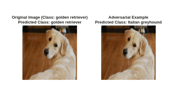 Figure contains 2 axes objects. Hidden axes object 1 with title Original Image (Class: golden retriever) Predicted Class: golden retriever contains an object of type image. Hidden axes object 2 with title Adversarial Example Predicted Class: Italian greyhound contains an object of type image.