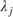 $\lambda_j$