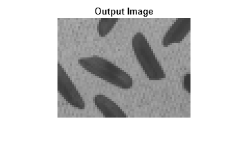 Figure contains an axes object. The hidden axes object with title Output Image contains an object of type image.