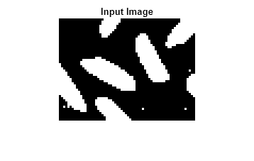 Figure contains an axes object. The hidden axes object with title Input Image contains an object of type image.