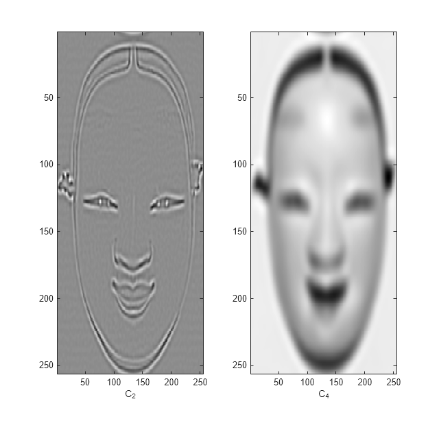 Figure CPLXDDDT contains 2 axes objects. Axes object 1 with xlabel C_{2} contains an object of type image. Axes object 2 with xlabel C_{4} contains an object of type image.