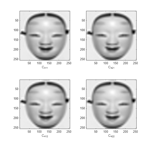 Figure CPLXDDDT contains 4 axes objects. Axes object 1 with xlabel C_{411} contains an object of type image. Axes object 2 with xlabel C_{421} contains an object of type image. Axes object 3 with xlabel C_{412} contains an object of type image. Axes object 4 with xlabel C_{422} contains an object of type image.