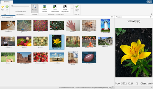 Image Browser app displays thumbnails for images in an image datastore and displays a larger preview of a selected image.