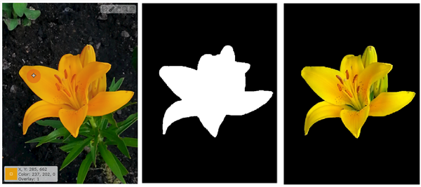 Binary mask created using the interactive paintbrush tool