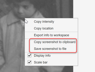 The imageshow viewer window, showing context menu options for copying or saving screenshots
