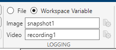 Logging section with Workspace Variable selected in Image Acquisition Explorer