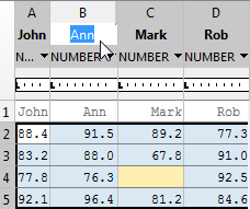The variable name is located as a column header.