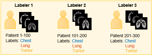 Each labeler is assigned a subset of images and the complete set of label definitions.