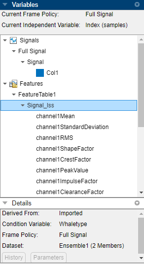 Variables pane showing the features extracted from Signal_lss