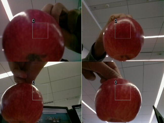 Display montage containing all images