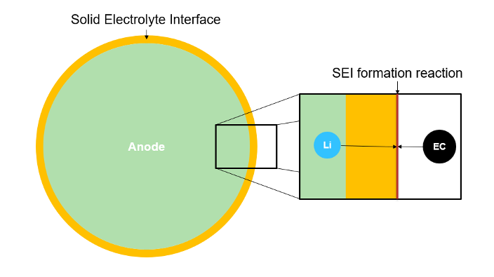 SEI growth process and reaction at the interface between lithium and ethylene carbonate electrolyte