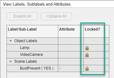 Locked symbol indicating status of marked labels