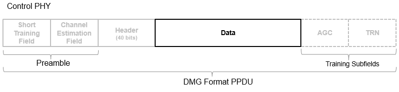 Data field of DMG format PPDU. See the packet structure of single carrier PHY and OFDM PHY