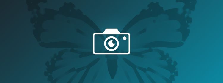Image Processing