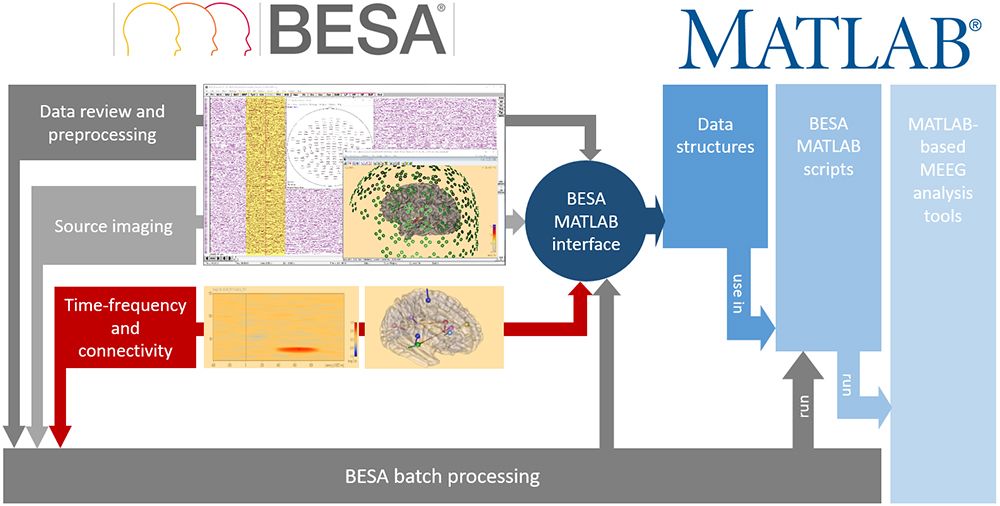 besa-research
