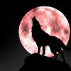 Lone_wolf