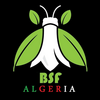 BSF Algeria